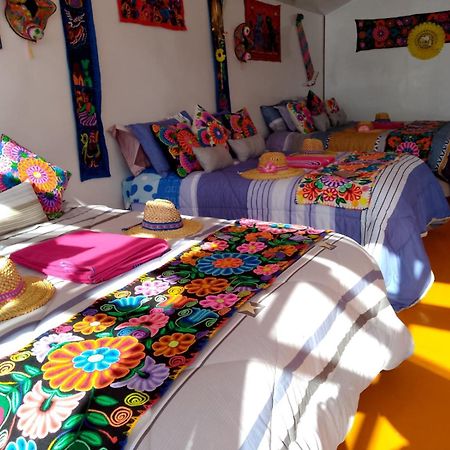Uros Titikaka The Best Lodge Puno Extérieur photo
